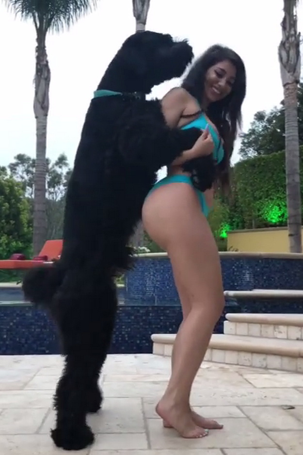 Mourina kerek seggű modell táncolt a fotós kutyájával