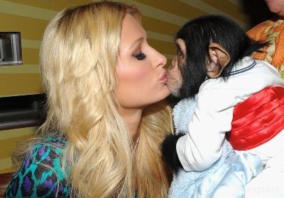 Paris Hilton csimpánzzal csókolózott