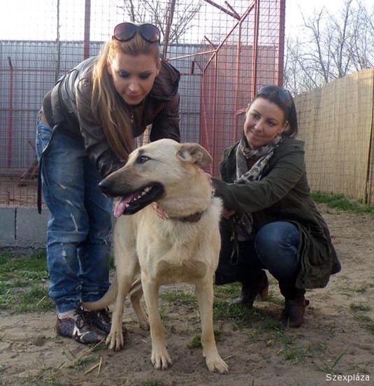 Állatokkal is dolgoznak Mészáros Dóra és Maria Belucci szexmunkásnők