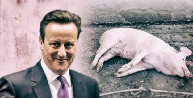 Állatszexszel vádolják David Cameront